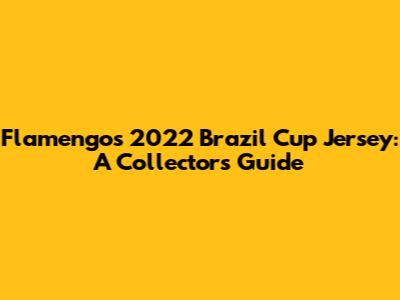 Flamengo's 2022 Brazil Cup Jersey: A Collector's Guide