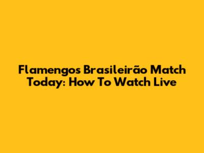 Flamengo's Brasileirão Match Today: How To Watch Live