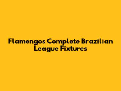 Flamengo's Complete Brazilian League Fixtures