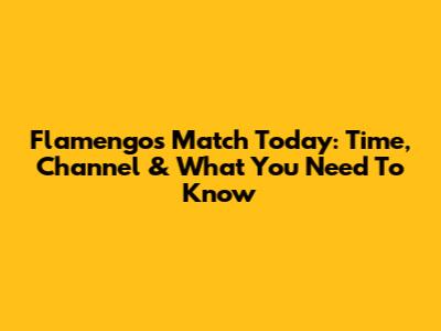 Flamengo's Match Today: Time, Channel & What You Need To Know