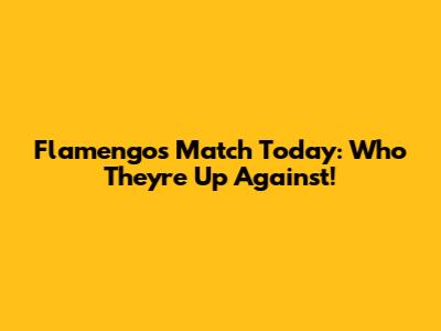 Flamengo's Match Today: Who They're Up Against!