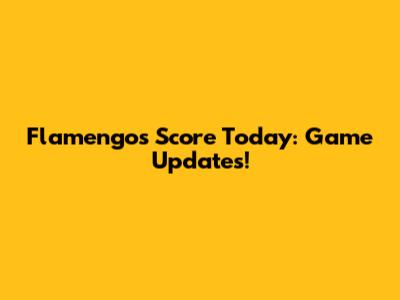 Flamengo's Score Today: Game Updates!