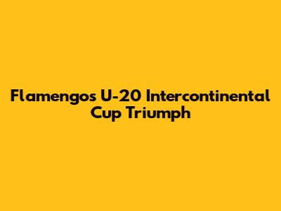 Flamengo's U-20 Intercontinental Cup Triumph