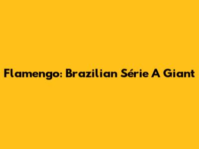 Flamengo: Brazilian Série A Giant