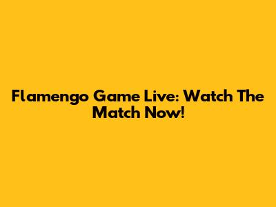 Flamengo Game Live: Watch The Match Now!