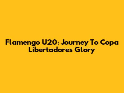 Flamengo U20: Journey To Copa Libertadores Glory
