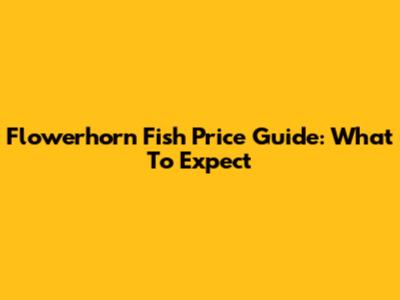 Flowerhorn Fish Price Guide: What To Expect
