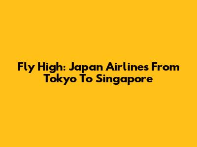Fly High: Japan Airlines From Tokyo To Singapore
