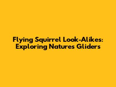 Flying Squirrel Look-Alikes: Exploring Nature's Gliders