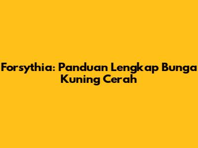 Forsythia: Panduan Lengkap Bunga Kuning Cerah