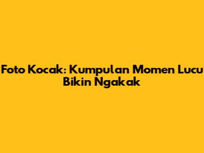 Foto Kocak: Kumpulan Momen Lucu Bikin Ngakak