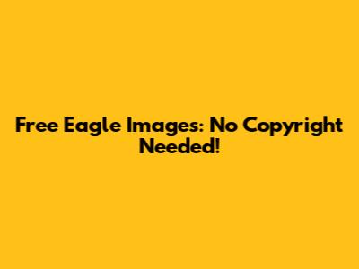 Free Eagle Images: No Copyright Needed!