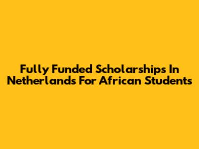 Fully Funded Scholarships In Netherlands For African Students