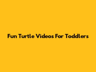 Fun Turtle Videos For Toddlers