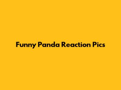 Funny Panda Reaction Pics