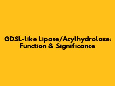 GDSL-like Lipase/Acylhydrolase: Function & Significance