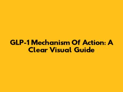 GLP-1 Mechanism Of Action: A Clear Visual Guide