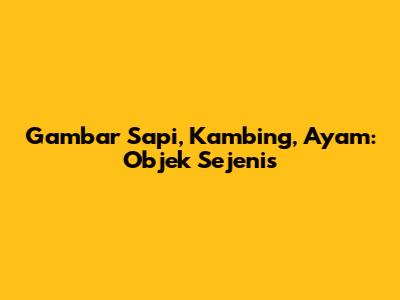 Gambar Sapi, Kambing, Ayam: Objek Sejenis