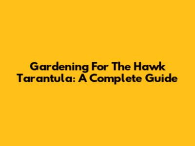 Gardening For The Hawk Tarantula: A Complete Guide