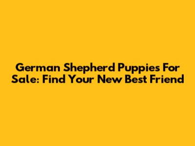 German Shepherd Puppies For Sale: Find Your New Best Friend
