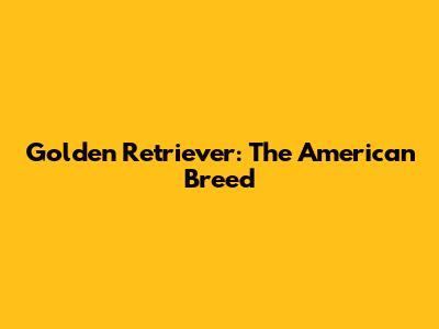 Golden Retriever: The American Breed