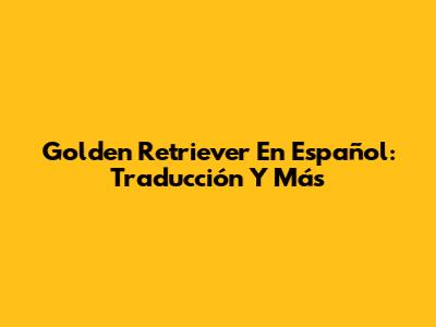 Golden Retriever En Español: Traducción Y Más