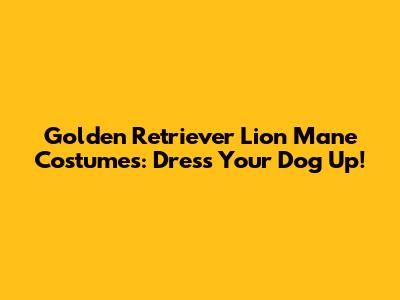 Golden Retriever Lion Mane Costumes: Dress Your Dog Up!