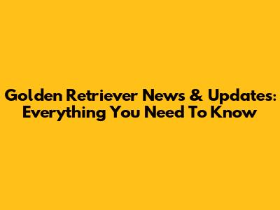 Golden Retriever News & Updates: Everything You Need To Know