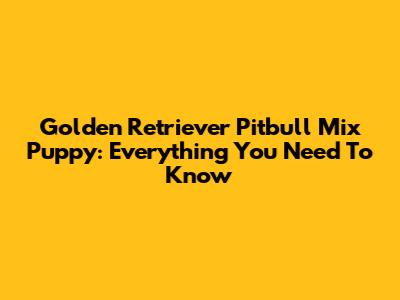 Golden Retriever Pitbull Mix Puppy: Everything You Need To Know