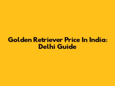 Golden Retriever Price In India: Delhi Guide