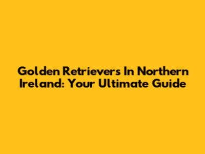 Golden Retrievers In Northern Ireland: Your Ultimate Guide