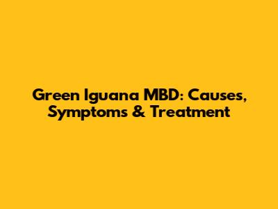 Green Iguana MBD: Causes, Symptoms & Treatment