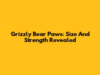 Grizzly Bear Paws: Size And Strength Revealed