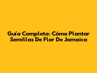 Guía Completa: Cómo Plantar Semillas De Flor De Jamaica