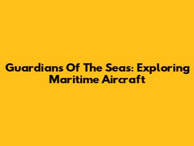 Guardians Of The Seas: Exploring Maritime Aircraft