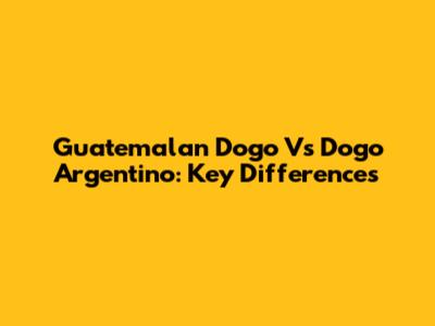 Guatemalan Dogo Vs Dogo Argentino: Key Differences