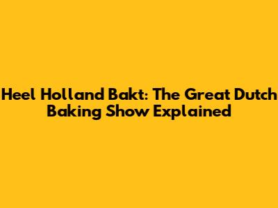 Heel Holland Bakt: The Great Dutch Baking Show Explained