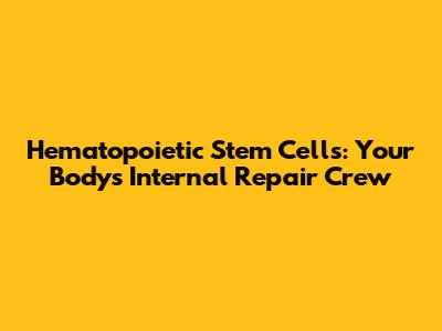 Hematopoietic Stem Cells: Your Body's Internal Repair Crew