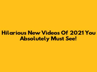 Hilarious New Videos Of 2021 You Absolutely Must See!