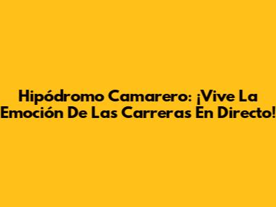 Hipódromo Camarero: ¡Vive La Emoción De Las Carreras En Directo!