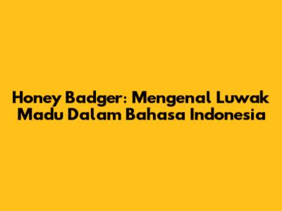 Honey Badger: Mengenal Luwak Madu Dalam Bahasa Indonesia