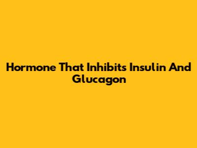 Hormone That Inhibits Insulin And Glucagon