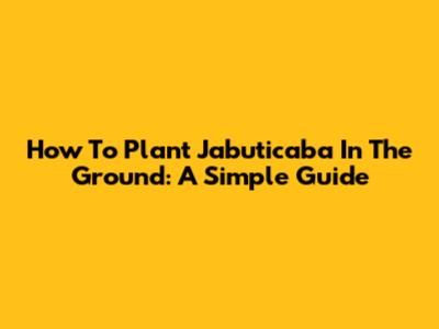 How To Plant Jabuticaba In The Ground: A Simple Guide
