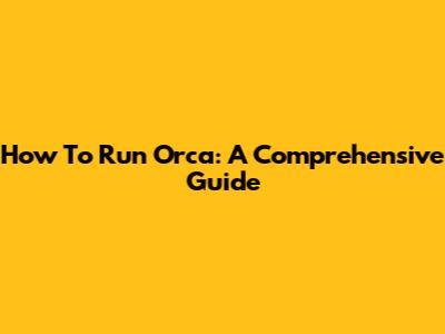 How To Run Orca: A Comprehensive Guide