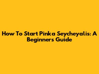 How To Start Pinka Seycheyalis: A Beginner's Guide
