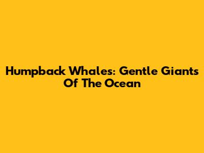 Humpback Whales: Gentle Giants Of The Ocean