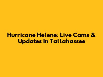 Hurricane Helene: Live Cams & Updates In Tallahassee