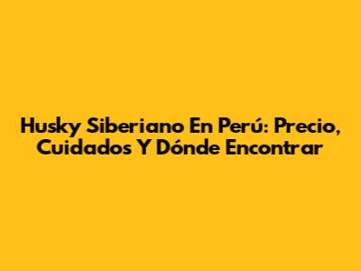 Husky Siberiano En Perú: Precio, Cuidados Y Dónde Encontrar