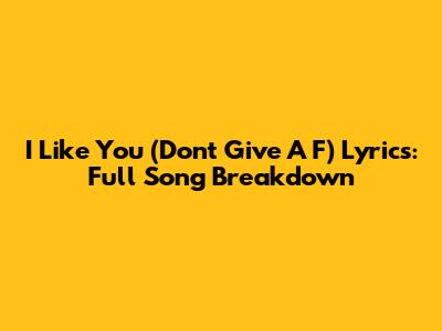 I Like You (Don't Give A F) Lyrics: Full Song Breakdown