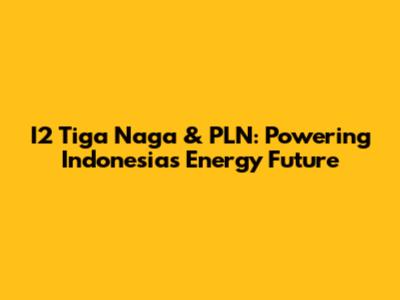I2 Tiga Naga & PLN: Powering Indonesia's Energy Future